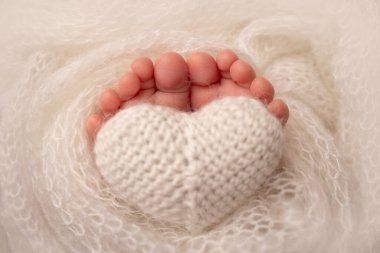Yeni doğmuş bir bebeğin küçük ayağı. Beyaz yün battaniyenin içinde yeni doğmuş bir bebeğin yumuşak ayakları. Ayak parmakları, topuklar ve yeni doğmuş bir bebeğin ayakları. Bir bebeğin bacaklarında örülmüş beyaz kalp. Stüdyo makro fotoğrafçılık.