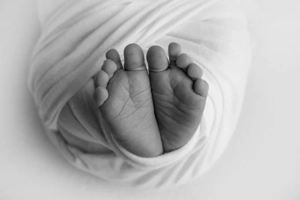 El pequeño pie de un recién nacido. Los pies suaves de un recién nacido en una manta. Primer plano de los dedos de los pies, tacones y pies de un bebé recién nacido. Estudio Macro fotografía. La felicidad de las mujeres. Fotografía, concepto. Blanco y negro. —  Fotos de Stock