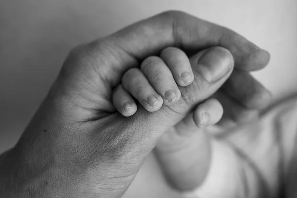 Det nyfödda barnet har ett fast grepp om föräldrarnas finger efter födseln. Närbild liten hand barn och handflata av mor och far. Föräldraskap, barnomsorg och hälso- och sjukvård. Svart och vitt foto. — Stockfoto