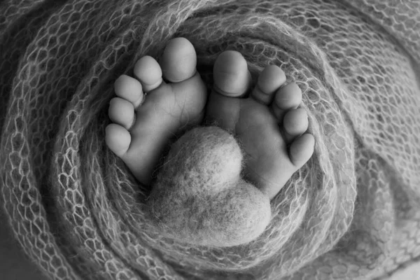 Маленька нога новонародженої дитини. М'які ноги новонародженого у вовняній ковдрі. Крупним планом пальці ніг, підбори і ноги новонародженого. В'язане серце в ногах дитини. Студія макрофотографії. Чорно-білий . — стокове фото