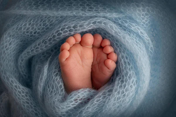 El pequeño pie de un recién nacido. Los pies suaves de un recién nacido en una manta de lana azul. Primer plano de los dedos de los pies, tacones y pies de un bebé recién nacido. Estudio Macro fotografía. La felicidad de las mujeres. Fotografía, concepto. —  Fotos de Stock