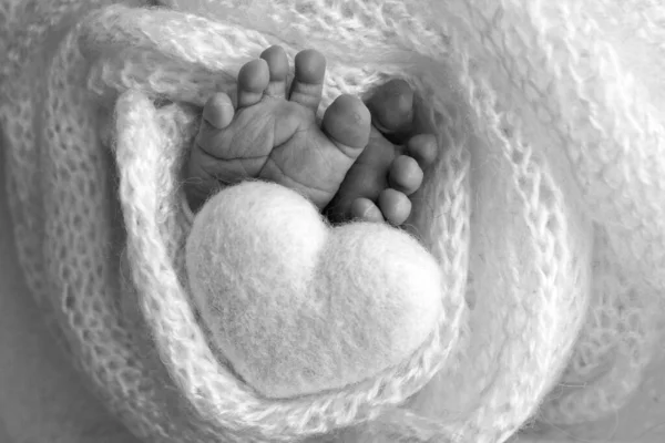 De kleine voet van een pasgeboren baby. Zachte voeten van een pasgeborene in een wollen deken. Close-up van tenen, hakken en voeten van een pasgeborene. Gebreid hart in de benen van de baby. Studiofotografie. Zwart-wit. — Stockfoto