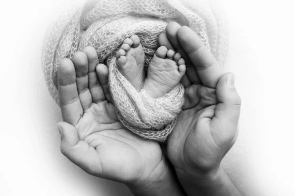 De palmen van de vader, de moeder houden de voet van de pasgeboren baby vast. Voeten van de pasgeborene op de handpalmen van de ouders. Studio fotografie van een kind tenen, hakken en voeten. Zwart-wit. — Stockfoto