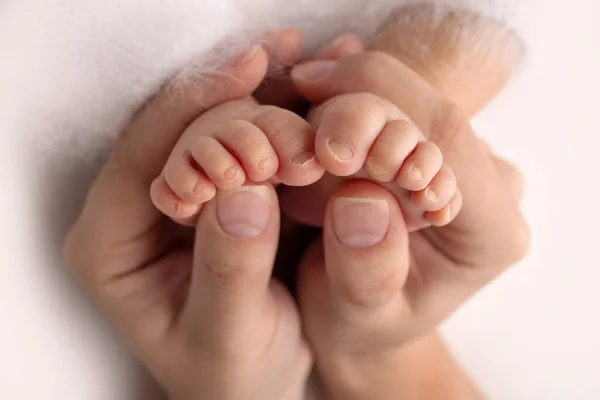 The palms of the father, the mother are holding the foot of the newborn baby. Feet of the newborn on the palms of the parents. Studio photography of a childs toes, heels and feet. — Stock Photo, Image