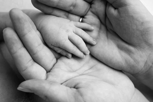 Ebeveynlerinin avuçlarında yeni doğmuş bir bebeğin avuç içi. Bir çocuğun küçük eline ve anne ve babanın avuç içlerine yakın çekim. Ebeveynlik, çocuk bakımı ve sağlık hizmeti konsepti. Siyah beyaz fotoğraf. — Stok fotoğraf