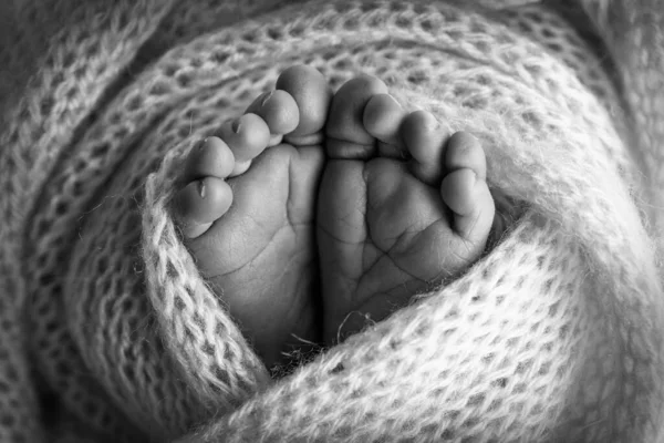 Το μικροσκοπικό πόδι ενός νεογέννητου. Απαλά πόδια νεογέννητου σε κουβέρτα. Κοντινό πλάνο ποδιών, τακουνιών και ποδιών νεογέννητου μωρού. Studio Macro φωτογραφία. Γυναικεία ευτυχία. Φωτογραφία, έννοια. Μαύρο και άσπρο. — Φωτογραφία Αρχείου