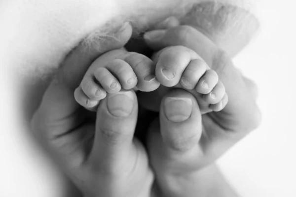 Pappans handflator, mamman håller i det nyfödda barnets fot. Fötter av den nyfödda på handflatorna av föräldrarna. Studio fotografering av en barntår, klackar och fötter. Svart och vitt. — Stockfoto