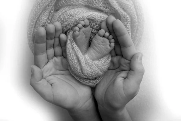 Οι παλάμες του πατέρα, η μητέρα κρατούν το πόδι του νεογέννητου μωρού. Τα πόδια του νεογέννητου στις παλάμες των γονιών. Φωτογραφία στούντιο με παιδικά δάχτυλα, τακούνια και πόδια. Μαύρο και άσπρο. — Φωτογραφία Αρχείου