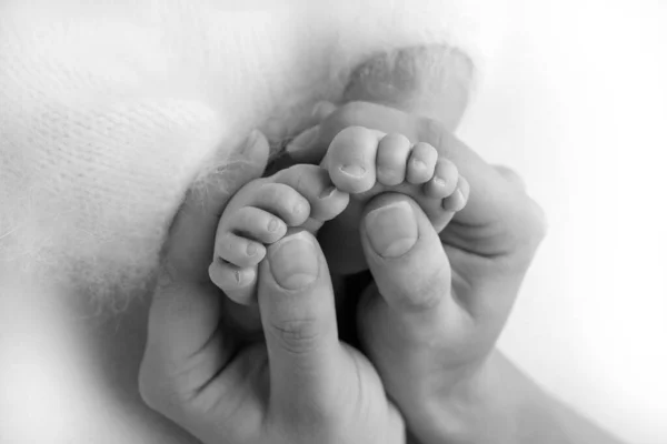 As palmas das mãos do pai, a mãe está segurando o pé do bebê recém-nascido. Pés do recém-nascido nas palmas das mãos dos pais. Fotografia de estúdio de umas crianças dedos do pé, saltos altos e pés. Preto e branco. — Fotografia de Stock