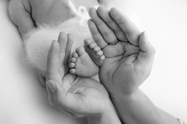 Les paumes du père, la mère tiennent le pied du nouveau-né. Pieds du nouveau-né sur les paumes des parents. Photographie studio d'un enfant orteils, talons et pieds. Noir et blanc. — Photo