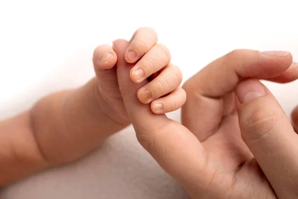 El bebé recién nacido en un blanco se cierra tiene un agarre firme en el dedo de los padres después del nacimiento. Primer plano de la pequeña mano del niño y la palma de la madre y el padre. Concepto de crianza, cuidado de niños y atención médica. — Foto de Stock