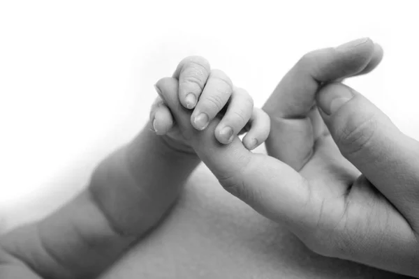 The newborn baby has a firm grip on the parents finger after birth. Close-up little hand of child and palm of mother and father. Parenting, childcare and healthcare concept. Black and white photo. — Stock Photo, Image