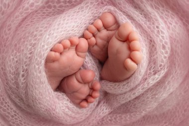 Yeni doğan ikizlerin ayakları. Pembe örülü bir battaniyede iki çift bebek ayağı. Yeni doğmuş bir bebeğin ayak parmaklarını, topuklarını ve ayaklarını kapat. Yeni doğmuş erkek kardeşlerin küçük ayakları, kız kardeşlerim. Stüdyo Makro fotoğrafçılık