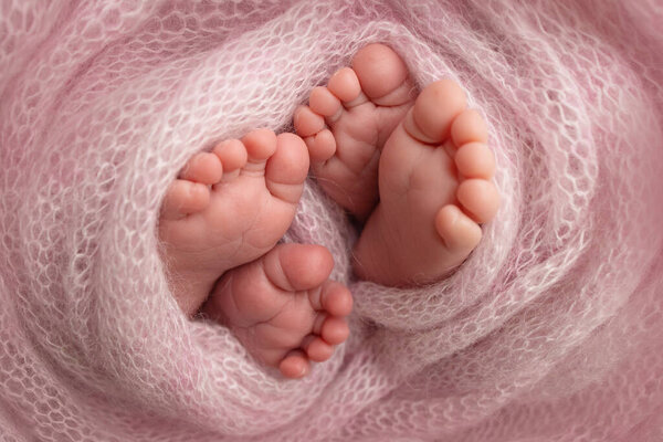 Ноги новорожденных близнецов. Две пары ножек в розовом трикотажном одеяле. Крупный план пальцев ног, каблуков и ног новорожденного ребенка. Крошечная нога новорожденных братьев, сестер. Студия макрофотографии