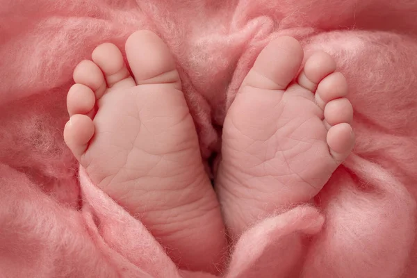 El pequeño pie de un recién nacido. Los pies suaves de un recién nacido en una manta de lana rosa. Primer plano de los dedos de los pies, tacones y pies de un bebé recién nacido. Estudio Macro fotografía. La felicidad de las mujeres. Concepto. —  Fotos de Stock