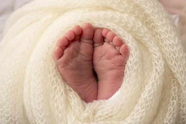 De kleine voet van een pasgeborene. Zachte voeten van een pasgeborene in een witte wollen deken. Close-up van tenen, hakken en voeten van een pasgeboren baby. Studio Macro fotografie. Womans geluk. Concept. — Stockfoto
