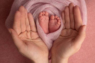 The palms of the father, the mother are holding the foot of the newborn baby in a pink blanket. Feet of the newborn on the palms of the parents. Photography of a childs toes, heels and feet.