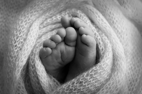 The tiny foot of a newborn. Soft feet of a newborn in a woolen blanket. Close up of toes, heels and feet of a newborn baby. Studio Macro photography. Black and white photo . — Stok fotoğraf