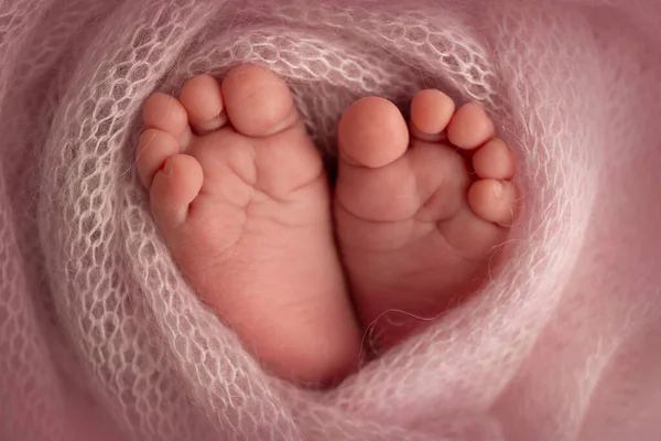 The tiny foot of a newborn. Soft feet of a newborn in a pink woolen blanket. Close up of toes, heels and feet of a newborn baby. Studio Macro photography. Womans happiness. Concept. —  Fotos de Stock