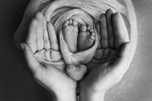 Baba 'nın avuç içi, anne yeni doğan bebeğin ayağını tutuyor. Yeni doğan bebeğin ayakları, ebeveynlerin avuçlarında. Stüdyo fotoğrafçılığı. Ayak, ayak ve ayak parmakları. Siyah beyaz. — Stok fotoğraf