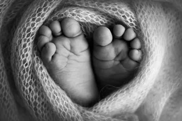 Maleńka stopa noworodka. Miękkie stopy noworodka w wełnianym kocu. Zbliżenie palców, obcasów i stóp noworodka. Studio Makro fotografii. Czarno-białe zdjęcie . — Zdjęcie stockowe
