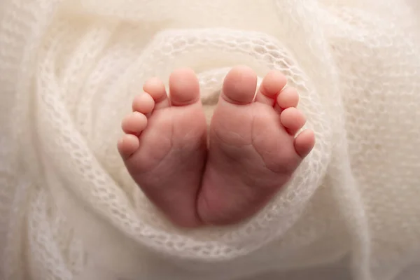 नवजात शिशु का छोटा पैर एक सफेद ऊनी कंबल में एक नवजात शिशु के नरम पैर। नवजात शिशु के पैर की उंगलियों, ऊँची एड़ी के जूते और पैरों को बंद करें। स्टूडियो मैक्रो फोटोग्राफी। महिलाओं की खुशी। संकल्पना . — स्टॉक फ़ोटो, इमेज
