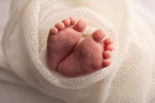 The tiny foot of a newborn. Soft feet of a newborn in a white woolen blanket. Close up of toes, heels and feet of a newborn baby. Studio Macro photography. Womans happiness. Concept. — Stock Photo, Image