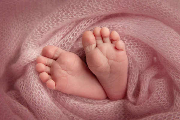 Malá noha novorozence. Měkké nohy novorozence v růžové vlněné přikrývce. Detailní záběr nohou, podpatků a nohou novorozence. Studio Makro fotografie. Štěstí žen. — Stock fotografie