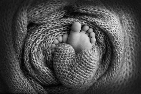 The tiny foot of a newborn baby. Soft feet of a new born in a blanket. Close up of toes, heels and feet of a newborn. Knitted heart in the legs of a baby. Studio black and white macro photography — Stock Photo, Image