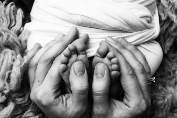 Dlaně otce, matky, drží nohu novorozence. Nohy novorozence na dlaních rodičů. Studiová fotografie dětských prstů, podpatků a chodidel. Černá bílá. — Stock fotografie
