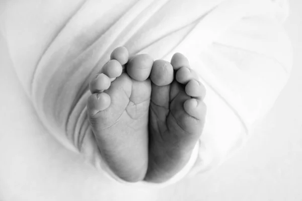 Yeni doğmuş bir bebeğin küçük ayağı. Yeni doğmuş bir bebeğin battaniyedeki yumuşak ayakları. Yeni doğmuş bir bebeğin ayak parmaklarını, topuklarını ve ayaklarını kapat. Stüdyo Makro fotoğrafçılık. Kadınların mutluluğu. Kavram. Siyah ve beyaz — Stok fotoğraf