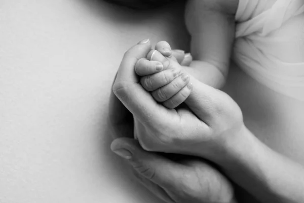 A mão de um recém-nascido adormecido na mão de mãe e pai close-up. Minúsculos dedos de um recém-nascido. A família está de mãos dadas. Fotografia macro de estúdio. Conceitos de família e amor. Preto branco. — Fotografia de Stock