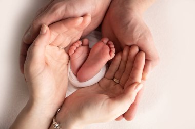 Annenin, babanın avuç içleri yeni doğan bebeğin ayağını beyaz bir battaniyenin içinde tutuyor. Yeni doğan bebeğin ayakları, ebeveynlerin avuçlarında. Stüdyo makro çocuk fotoğrafı. Parmak, topuklar ve ayaklar..