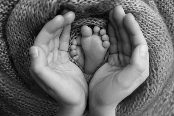 Las palmas del padre, la madre están sosteniendo el pie del bebé recién nacido. Los pies del recién nacido en las palmas de las manos de los padres. Fotografía de un niño dedos de los pies, tacones y pies. Foto en blanco y negro. — Foto de Stock