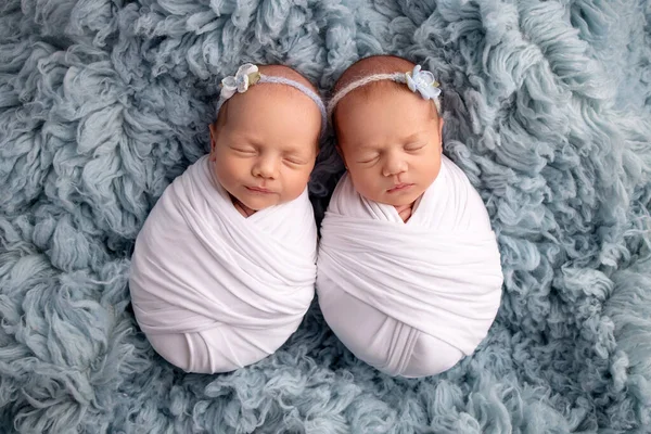 Pequeñas niñas gemelas recién nacidas en capullos blancos sobre un fondo azul. Un gemelo recién nacido duerme junto a su hermana. Chicas gemelas recién nacidas en diademas blancas con flores blancas y azules. — Foto de Stock