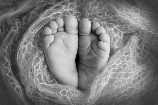 El pequeño pie de un recién nacido. Los pies suaves de un recién nacido en una manta. Primer plano de los dedos de los pies, tacones y pies de un bebé recién nacido. Estudio Macro fotografía. La felicidad de las mujeres. Concepto. Blanco y negro. —  Fotos de Stock