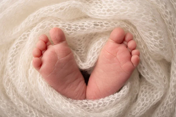 El pequeño pie de un recién nacido. Pies suaves de un recién nacido en una manta de lana blanca. Primer plano de los dedos de los pies, tacones y pies de un bebé recién nacido. Estudio Macro fotografía. La felicidad de las mujeres. Concepto. —  Fotos de Stock