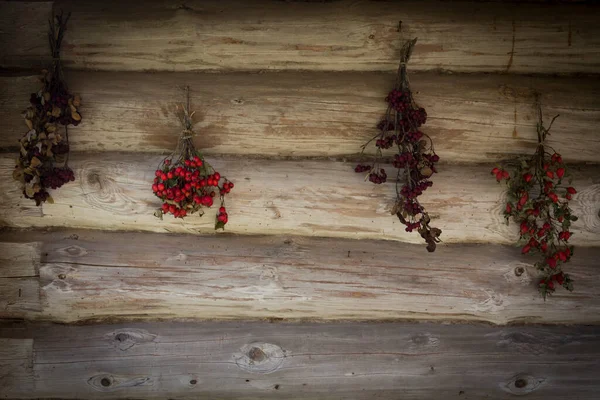 Eski bir ahşap kulübe ve yuvarlak kütüklerden yapılmış bir ahır. Çay için şifalı bitkiler. Kurumuş dağ külleri, yaban gülü. — Stok fotoğraf