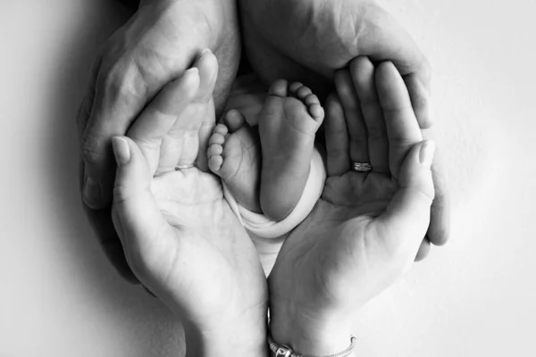 The palms of the father, the mother are holding the foot of the newborn baby in a blanket. Feet of the newborn on the palms of the parents. Studio macro photo of a childs toes and feet. Black white. — Stock Photo, Image