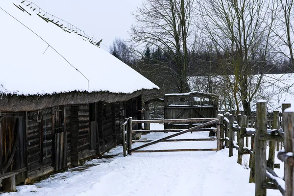 Rus kışı manzarası. Eski ahşap bir kulübe, sazdan çatılı ahşap bir ev. Karla kaplı terk edilmiş bir Rus köyü. Ahşap çitli ahşap bir ahır.. — Stok fotoğraf