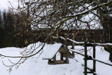 Rus kışı manzarası. Eski ahşap bir kulübe, sazdan çatılı ahşap bir ev. Karla kaplı terk edilmiş bir Rus köyü. Ahşap çitli ahşap bir ahır..