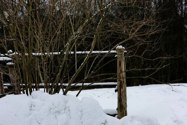 Tahta hasır çit. Rus kışı manzarası. Karla kaplı ağaçlar. Terk edilmiş Rus köyü karla kaplı.. — Stok fotoğraf