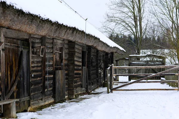 Rus kışı manzarası. Eski ahşap bir kulübe, sazdan çatılı ahşap bir ev. Karla kaplı terk edilmiş bir Rus köyü. Ahırlı ahşap ev. — Stok fotoğraf