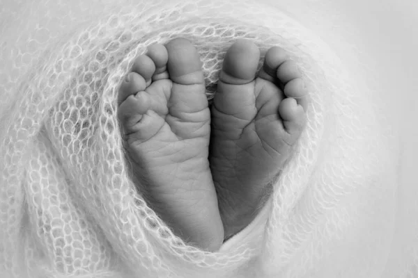Egy újszülött pici lába. Egy újszülött puha lába egy takaróban. Egy újszülött lábujjának, sarkának és lábának közelsége. Stúdió Macro fotózás. A nők boldogsága. Fogantatás. Fekete-fehér. — Stock Fotó