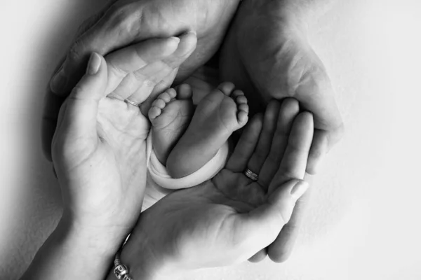 Die Handflächen des Vaters, die Mutter halten den Fuß des Neugeborenen in einer Decke. Füße des Neugeborenen auf den Handflächen der Eltern. Makroaufnahme eines Kindes mit Zehen und Füßen. Schwarz-Weiß. — Stockfoto