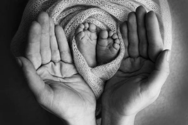 De palmen van de vader, de moeder houden de voet van de pasgeboren baby vast. Voeten van de pasgeborene op de handpalmen van de ouders. Studio fotografie van een kind tenen, hakken en voeten. Zwart wit. — Stockfoto