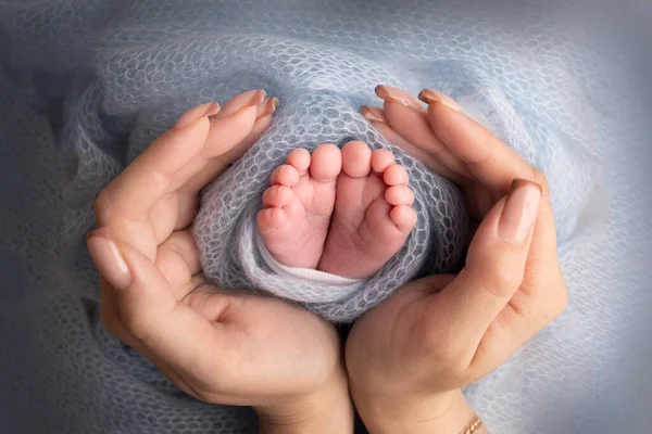 Yeni doğmuş bebek ayakları annelerin ellerinde. Anne ve çocuğu. Ebeveyn, yeni doğmuş bir çocuğun bacaklarını mavi bir battaniyeyle elinde tutuyor. Mutlu aile ve annelik kavramı. Profesyonel makro yakın çekim. — Stok fotoğraf