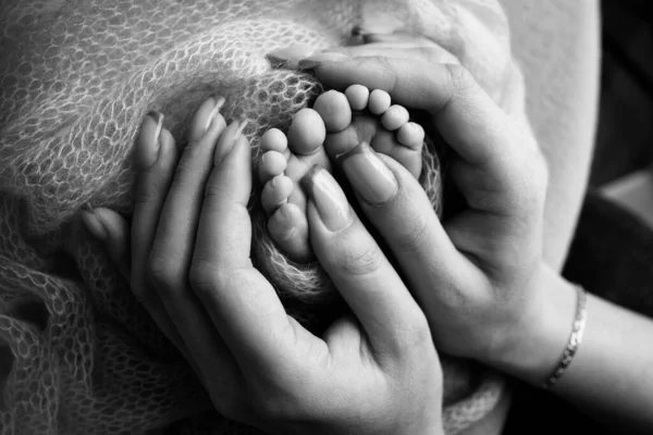 Novorozená dětská noha v matčiných rukou. Máma a její dítě. Rodič drží nohy novorozence v rukou. Šťastná rodina a mateřství. Profesionální makro zblízka. Černá a bílá. — Stock fotografie
