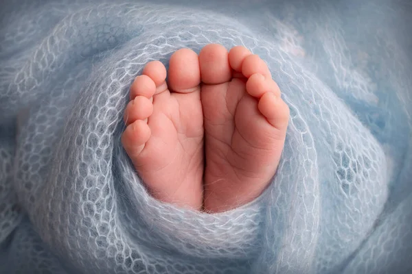 Pequeños, lindos, pies desnudos de una niña o niño recién nacido caucásico, de dos semanas de edad, envuelto en una manta azul suave y acogedor. Estudio profesional macro fotografía de un recién nacido. Dedos, pies, tacones. —  Fotos de Stock