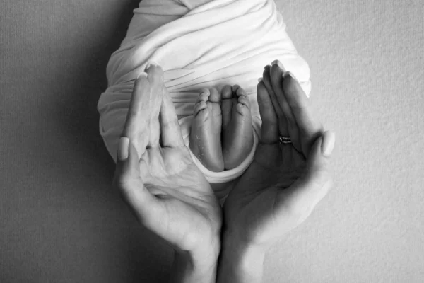 Долоні батька, мати тримає ногу новонародженої дитини. Ноги новонародженого на долонях батьків. Фотографія дитячих пальців ніг, п'ят і ніг. Чорно-біле фото . — стокове фото